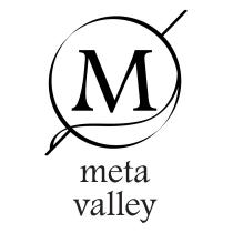 META VALLEYVALLEY