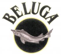 BELUGABELUGA