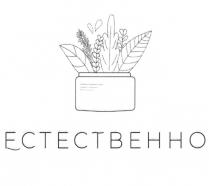 ЕСТЕСТВЕННОЕСТЕСТВЕННО