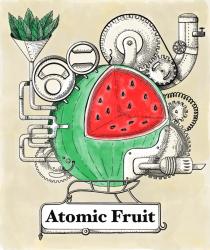 ATOMIC FRUIT WATERMELON & BASIL ALK 5% 0,5 LL