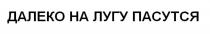 ДАЛЕКО НА ЛУГУ ПАСУТСЯПАСУТСЯ