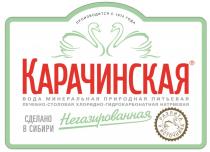 КАРАЧИНСКАЯ НЕГАЗИРОВАННАЯ СДЕЛАНО В СИБИРИ ВОДА МИНЕРАЛЬНАЯ ПРИРОДНАЯ ПИТЬЕВАЯ ЛЕЧЕБНО-СТОЛОВАЯ ХЛОРИДНО-ГИДРОКАРБОНАТНАЯ НАТРИЕВАЯ РАЗЛИТА У ИСТОЧНИКА ПРОИЗВОДИТСЯ С 1974 ГОДАГОДА