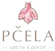 PCELA ЦВЕТЫ ДЕКОРДЕКОР