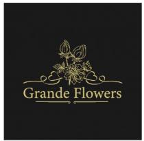 GRANDE FLOWERSFLOWERS