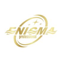 ENIGMA PROFESSIONALPROFESSIONAL