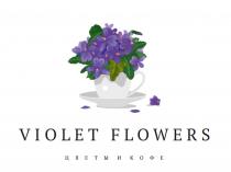 VIOLET FLOWERS ЦВЕТЫ И КОФЕКОФЕ