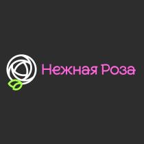 НЕЖНАЯ РОЗА