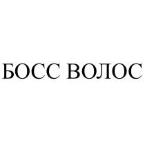 БОСС ВОЛОС