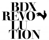 BDX REVOLUTION