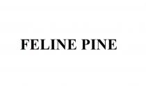 FELINE PINE