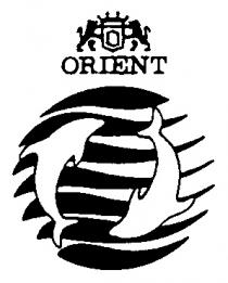 ORIENT