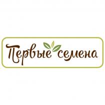 ПЕРВЫЕ СЕМЕНА