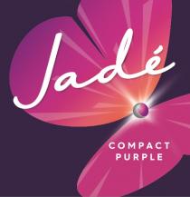 JADE COMPACT PURPLEPURPLE