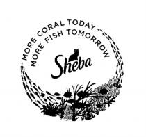 MORE CORAL TODAY MORE FISH TOMORROW SHEBASHEBA