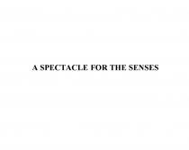 A SPECTACLE FOR THE SENSES