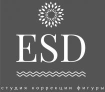 ESD СТУДИЯ КОРРЕКЦИИ ФИГУРЫ