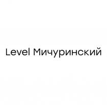 LEVEL МИЧУРИНСКИЙ