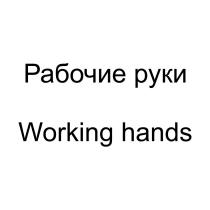 РАБОЧИЕ РУКИ WORKING HANDS