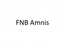 FNB AMNIS