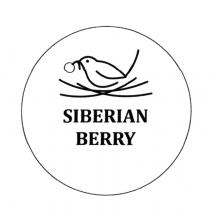 SIBERIAN BERRY