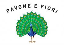 PAVONE E FIORI