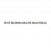 JUST BLOOM GRAND MAGNOLIA