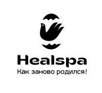 HEALSPA КАК ЗАНОВО РОДИЛСЯ