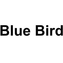 BLUE BIRD