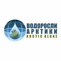 ВОДОРОСЛИ АРКТИКИ ARCTIC ALGAEALGAE