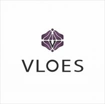 VLOES ACCESSORIESACCESSORIES