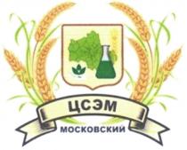 ЦСЭМ МОСКОВСКИЙМОСКОВСКИЙ