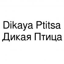 DIKAYA PTITSA ДИКАЯ ПТИЦА