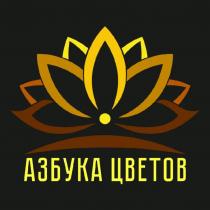 АЗБУКА ЦВЕТОВ