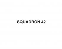 SQUADRON 42
