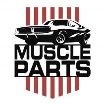 MUSCLE PARTS