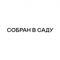 СОБРАН В САДУСАДУ