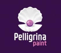 Pelligrina PaintPaint