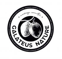 GALATEUS NATURE MASSAGE COSMETIC КОСМЕТИКА ДЛЯ МАССАЖАМАССАЖА