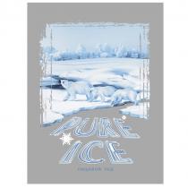 PURE ICE ПИЩЕВОЙ ЛЕДЛЕД