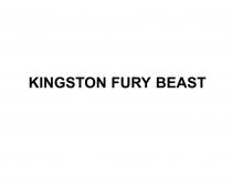KINGSTON FURY BEASTBEAST