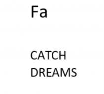 FA CATCH DREAMSDREAMS