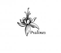 PRALINESPRALINES