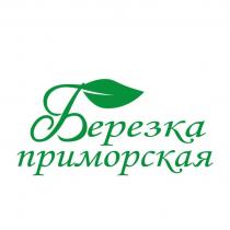 БЕРЕЗКА ПРИМОРСКАЯПРИМОРСКАЯ