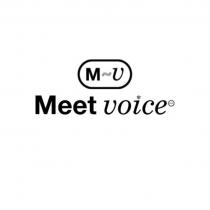 M-V MEET VOICEVOICE