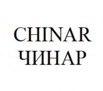 CHINAR ЧИНАРЧИНАР