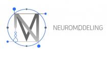 NM NEUROMODELINGNEUROMODELING