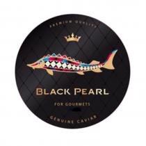 BLACK PEARL FOR GOURMETS GENUINE CAVIAR PREMIUM QUALITYQUALITY