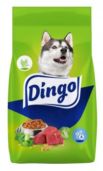 DINGO А Е FE ZNZN