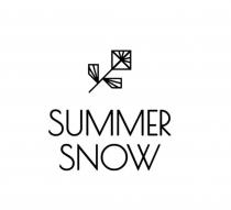 SUMMER SNOWSNOW