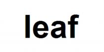 LEAFLEAF